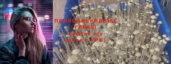 прущие крисы Алексеевка