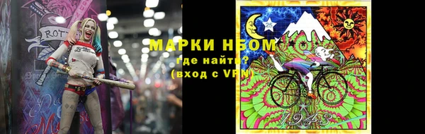 мет Алексин